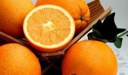 橙子在线观看,解锁精彩瞬间，畅享视觉盛宴